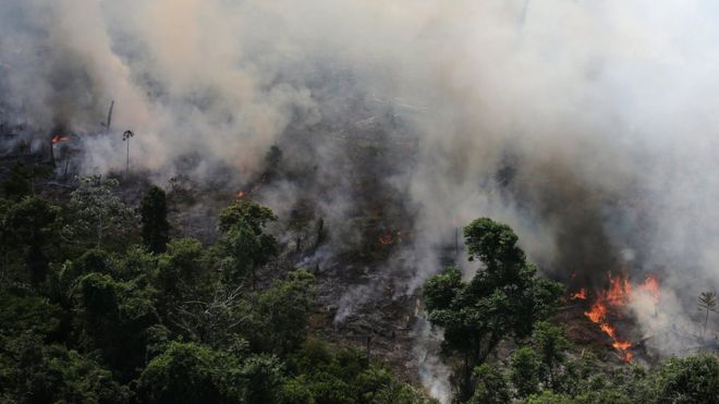 Descubren en la atmósfera una región cubierta por monóxido de carbono producido por incendios del Amazonas