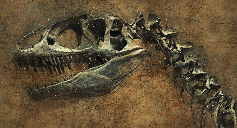 La paleontóloga que lame los fósiles por esta extraña pero científica razón