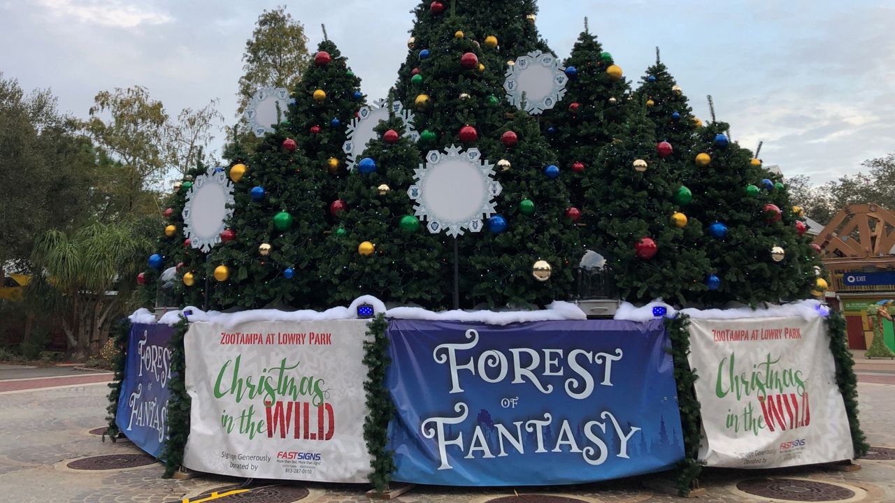 Está de vuelta el gran evento “Christmas in the Wild” en ZooTampa