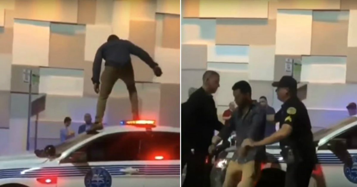 Joven cubano es arrestado en Miami por subirse a una patrulla cuando jugaba “el suelo es lava”