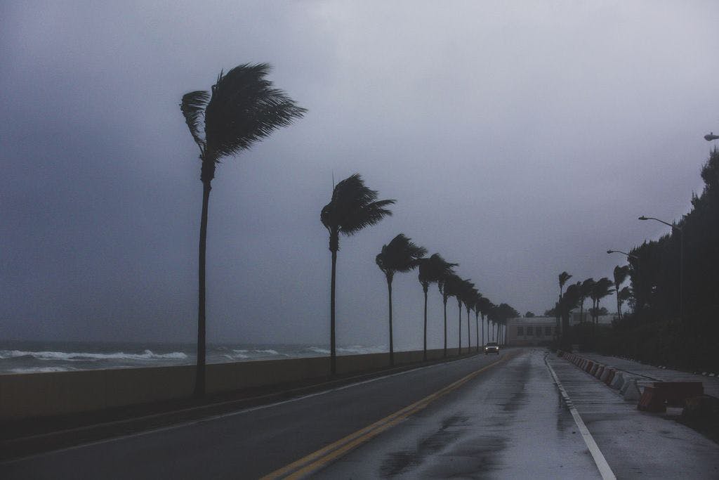 Tormenta Isaías: Palm Beach se salvó de lo peor