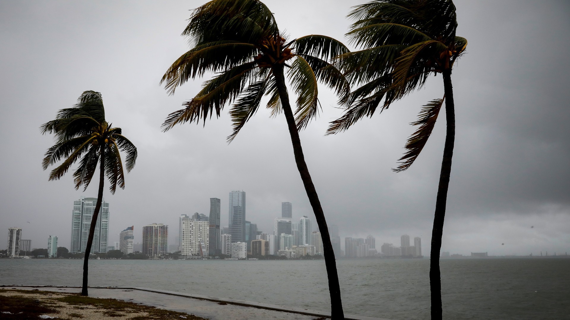 Fuerte frente frío en sur de Florida para el viernes