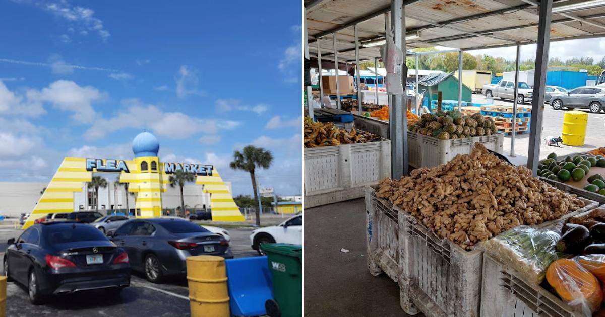 Protestan por el cierre del pulguero de Hialeah