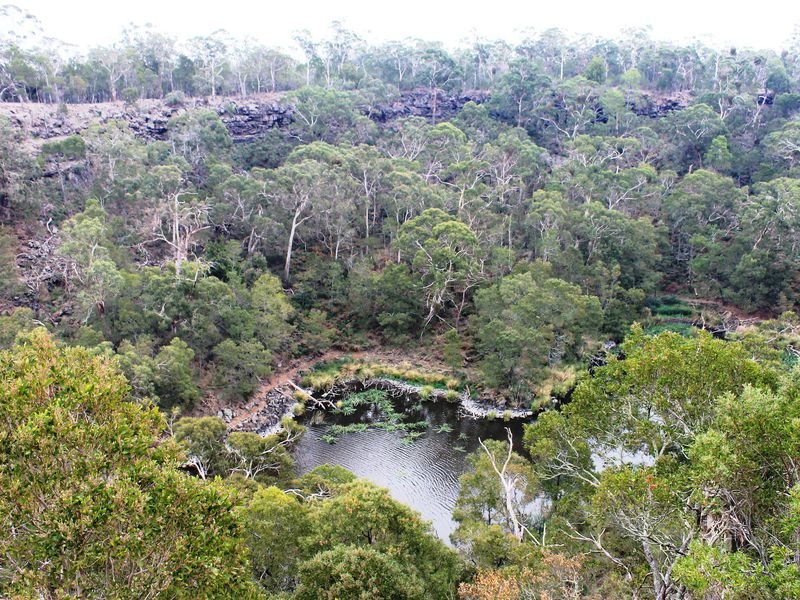 ¡Sorprendente! Incendios forestales de Australia revelan antiguo sistema de acuicultura