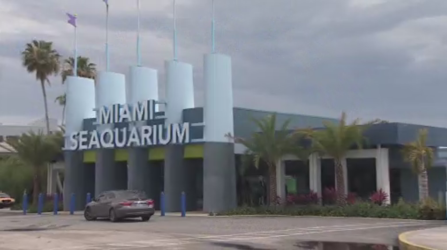 El Miami Seaquarium reabrirá sus puertas el sábado al público en general