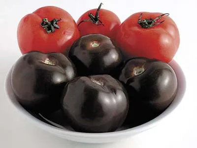 Mercados de EEUU venderán tomates de color morado