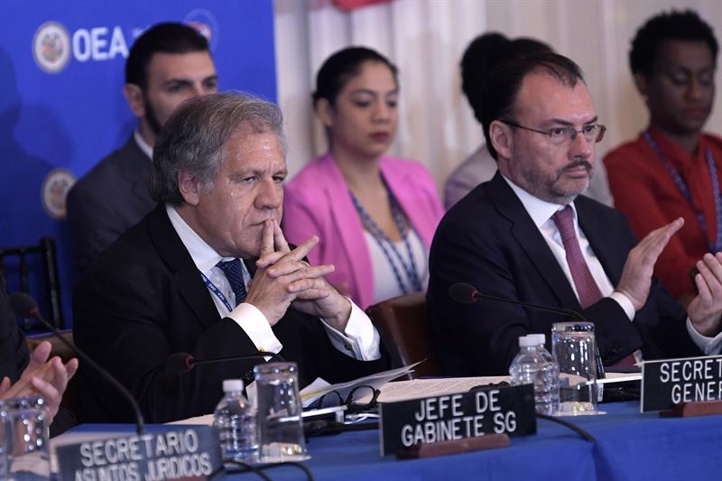 Pedro Corzo: La OEA, centro político de Las Américas