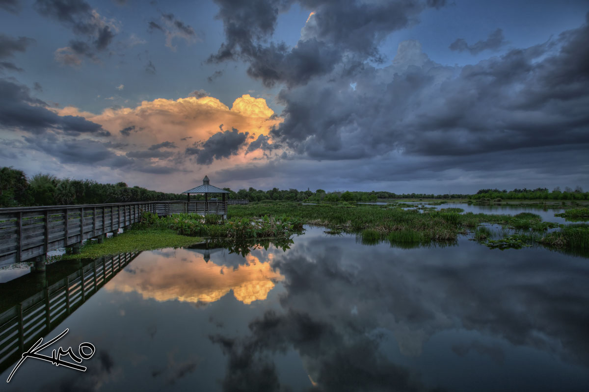 Humedales de Wakodahatchee catalogado como el mejor parque de la Florida