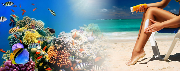 Proteger tu piel del Sol podría dañar los arrecifes de coral