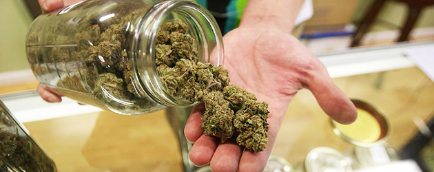 Proyecto de ley en Florida busca despenalizar pequeñas cantidades de marihuana