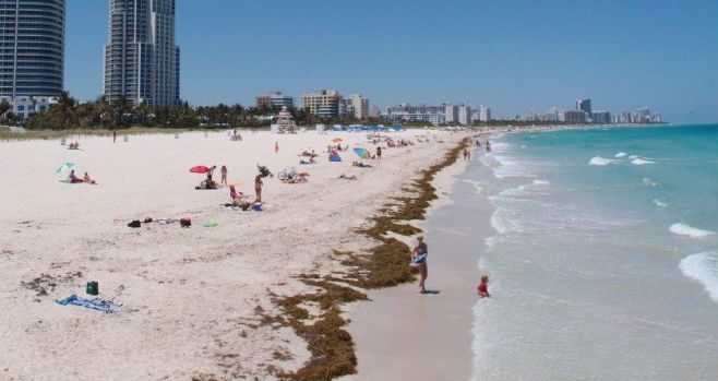 Levantan alerta de contaminación en dos playas de Miami-Dade