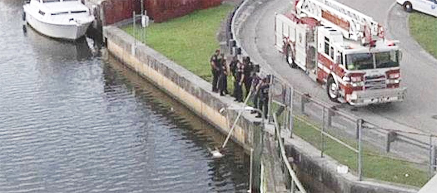 Hallan mujer muerta flotando en Miami River