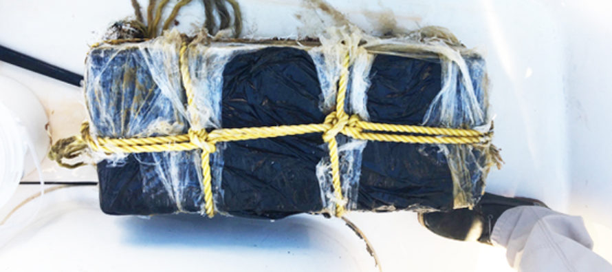 Guardacostas encontró 130 kilos de cocaína  flotando en Cayos de Florida