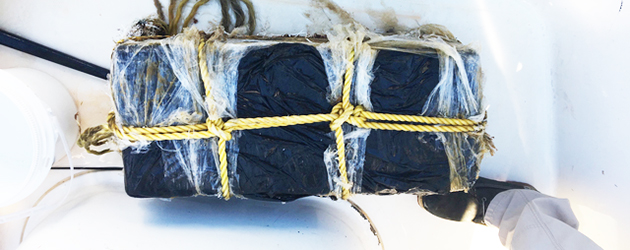 Guardacostas encontró 130 kilos de cocaína  flotando en Cayos de Florida
