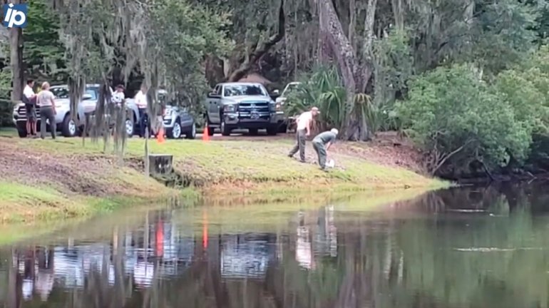 Tras ser atacada por un cocodrilo en un resort de Carolina del Sur una mujer muere