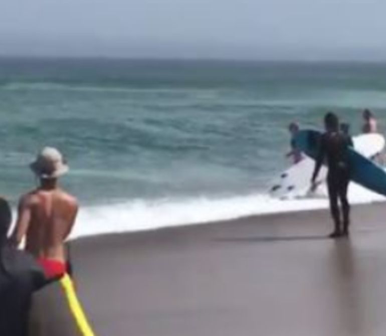 Tiburón blanco apareció muerto en una playa de Massachusetts