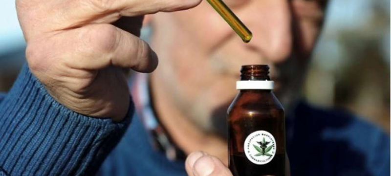 Escuelas de Broward instauran nuevas reglas sobre uso de marihuana medicinal