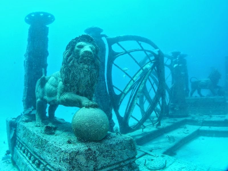 Neptune Memorial Reef: Cementerio submarino da vida a los arrecifes