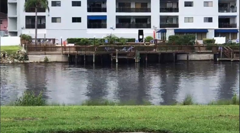 Niña autista murió tras ser lanzada a un río por su madre en Florida