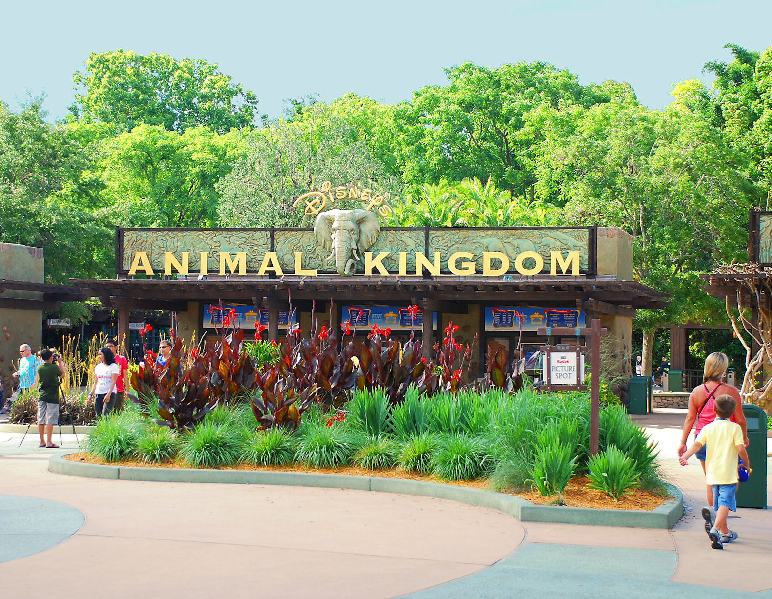 Parque temático Animal Kingdom celebra el nacimiento de un bebé mandril