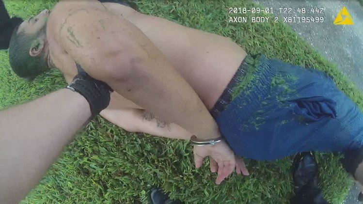 Intentaba fugarse de la policía y lo detuvieron algas marinas en Florida