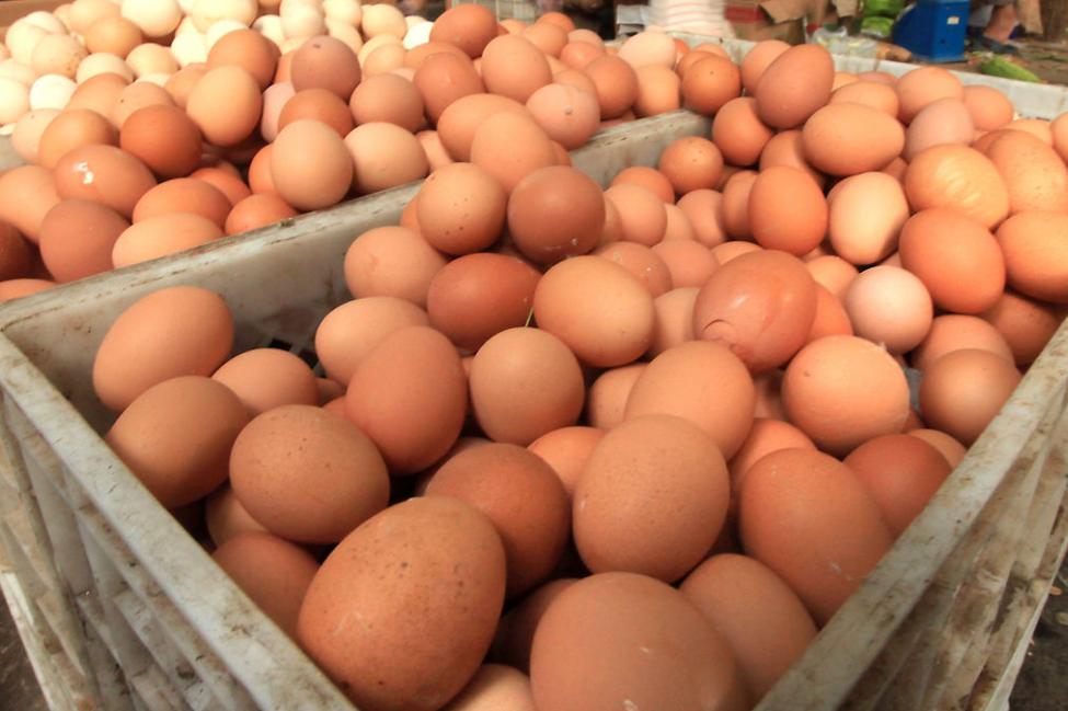 Salmonela en huevos de Gravel Ridge Farms han enfermado 14 personas