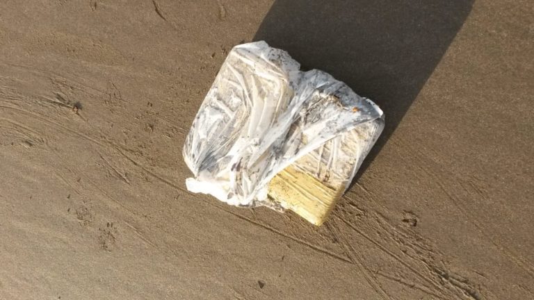 Encontraron alrededor de 100 libras de marihuana en playas de Florida