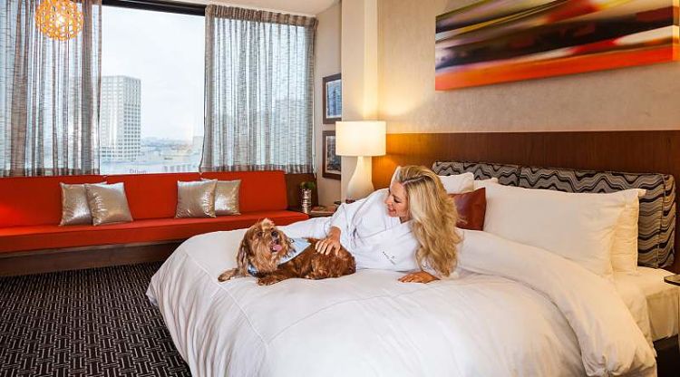 Estos hoteles admiten a usuarios junto con sus mascotas por la temporada de huracanes