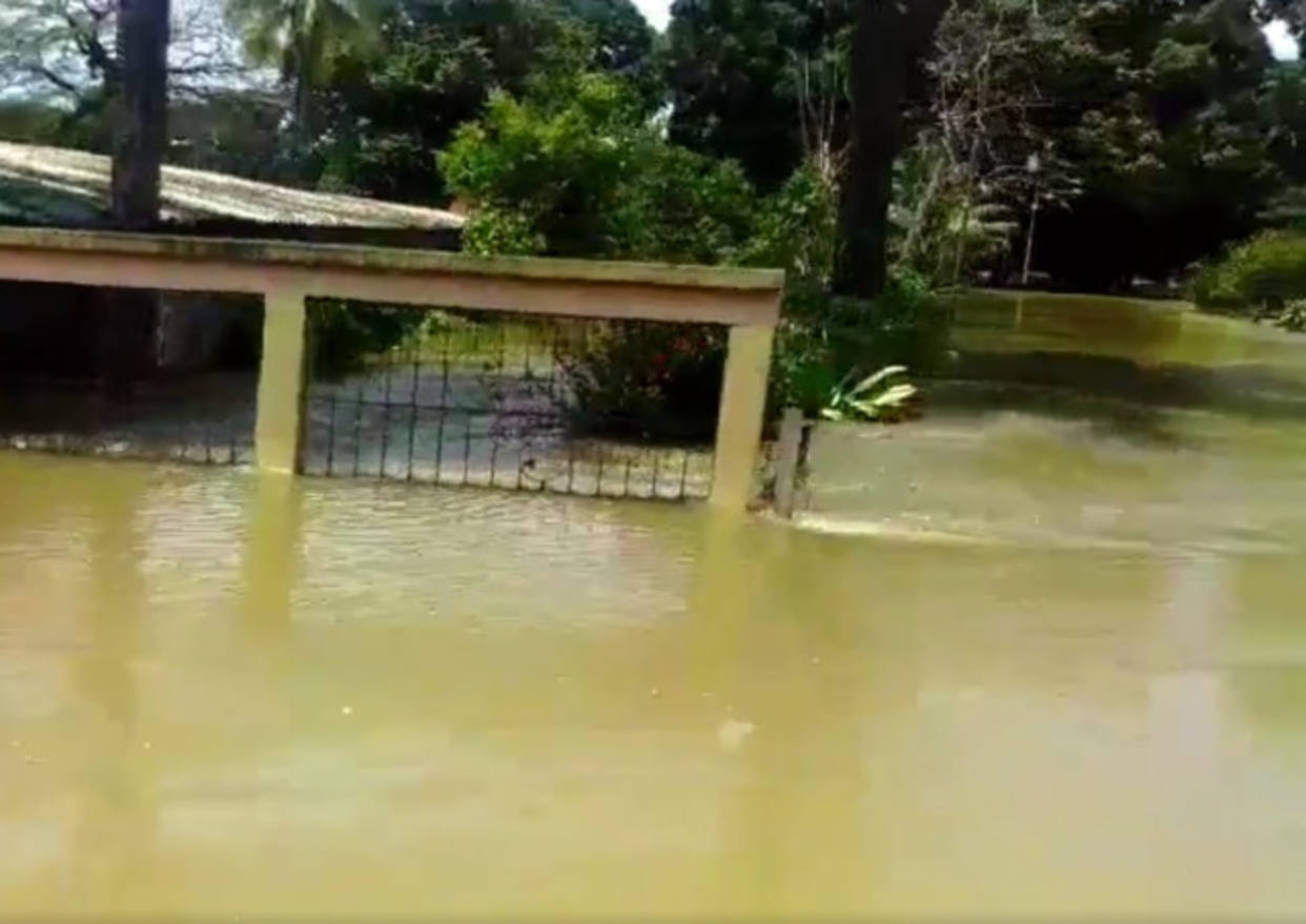 El Orinoco bajó dos centímetros  pero las inundaciones son inmensas