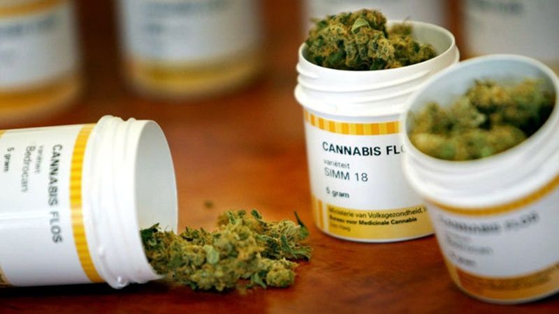Implementación de marihuana medicinal debería ser más efectiva en Florida