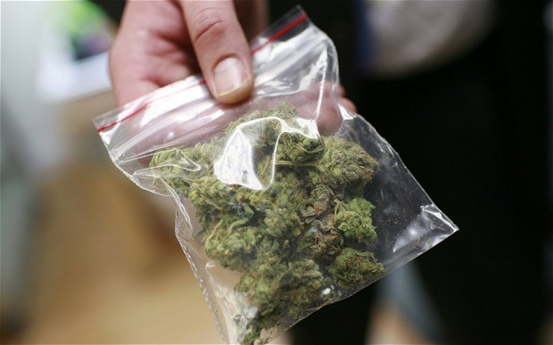 Impulsan proyecto de ley que permitiría a los condenados por posesión de cannabis borrar sus antecedentes penales