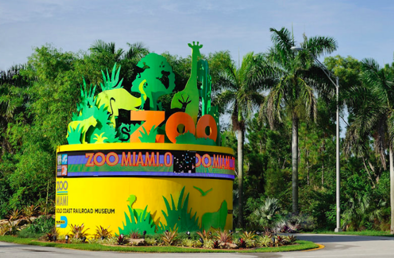 Las nutrias también reciben regalos en el Zoológico de Miami