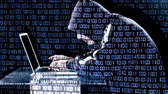 Tercera ciudad en Florida: Hackers atacaron base de datos de Key Biscayne