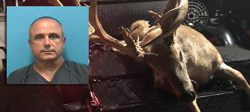 Detenido cazador que mató ciervo protegido en zona estatal