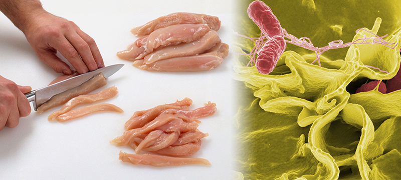 Brote de Salmonella vinculado a productos de pollo crudo