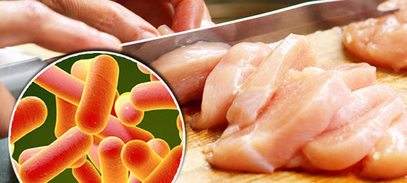 Más enfermos: Brote de salmonela podría venir de industria del pollo