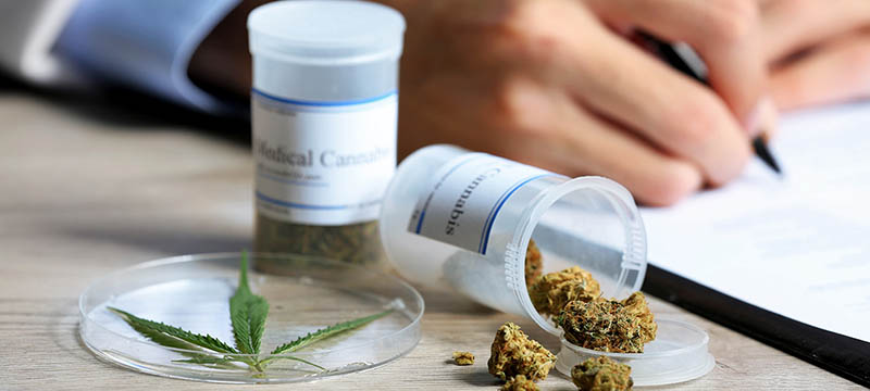 Prospera el mercado del cannabis medicinal en Florida