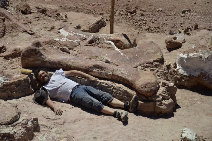 Nueva especie de dinosaurios con 110 millones de años de edad encuentran en Argentina