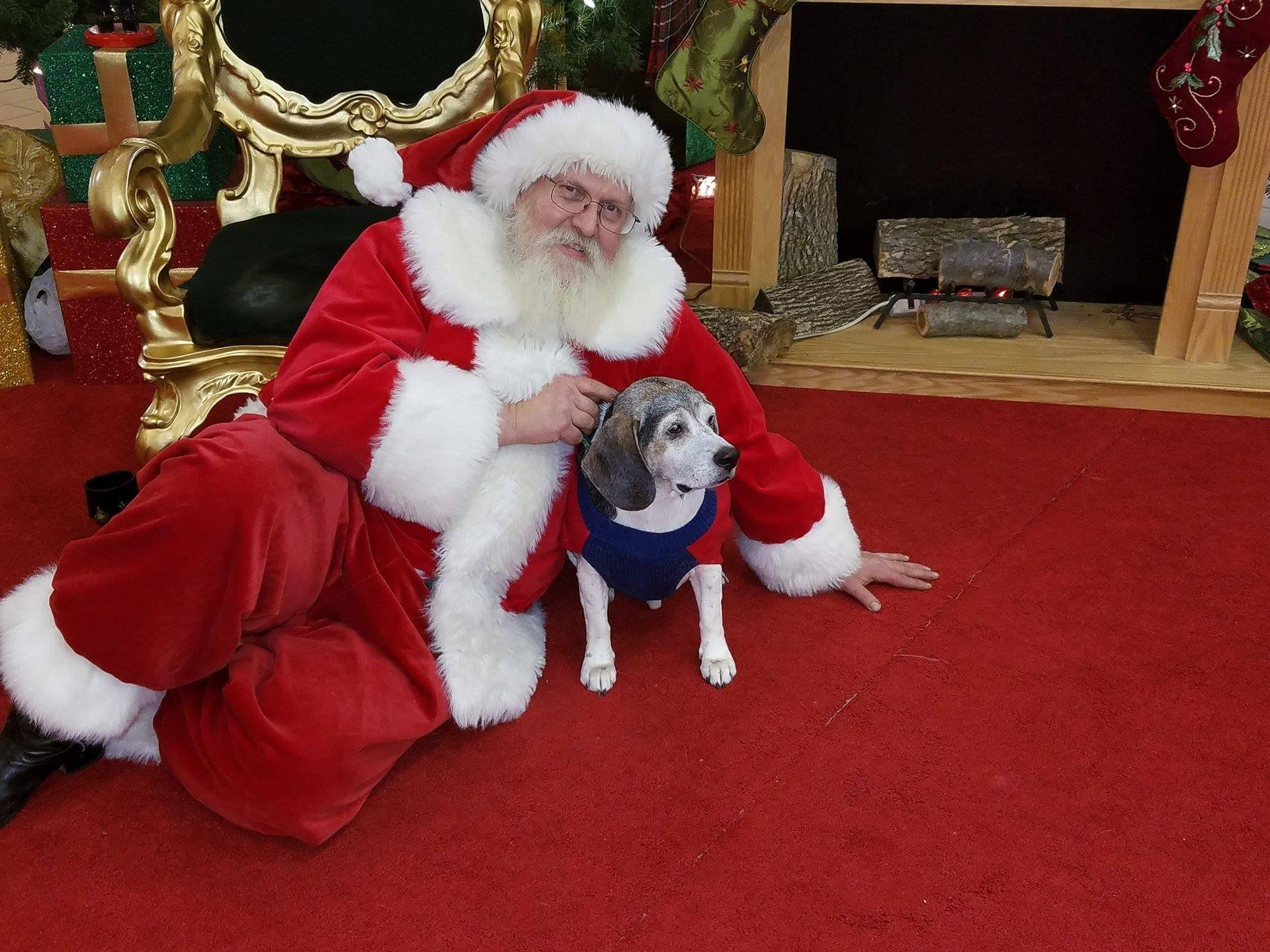 Mascotas podrán ser fotografiadas con Santa en el centro comercial Dolphin Mall