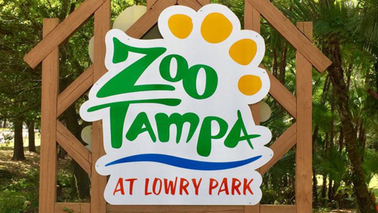 Investigan si animales mueren en Zoológico de Tampa por mala atención veterinaria