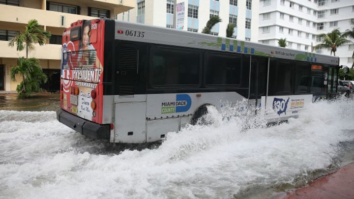 Así es el violento impacto del cambio climático en Florida