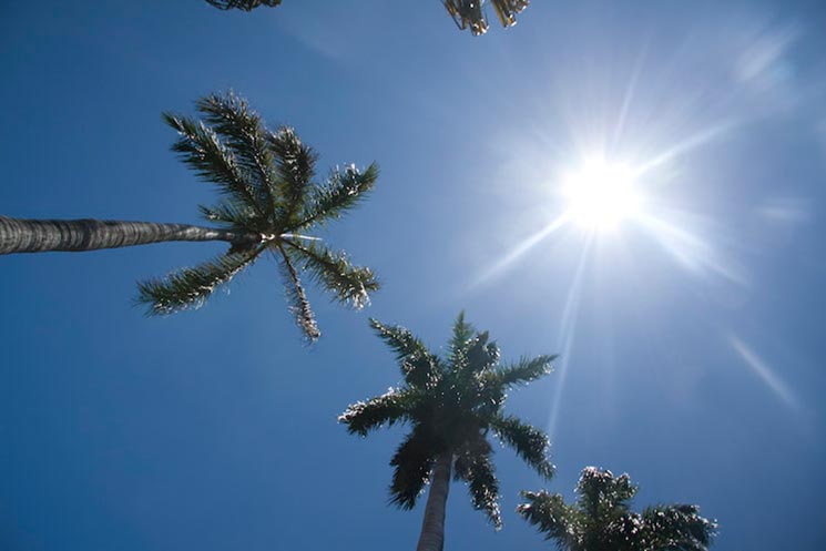 Clima de Miami: este será un fin de semana cálido