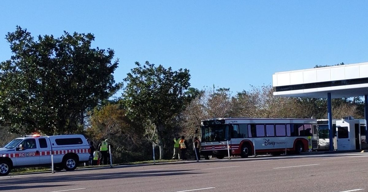 Choque de autobuses de Disney dejó un saldo de 15 personas heridas