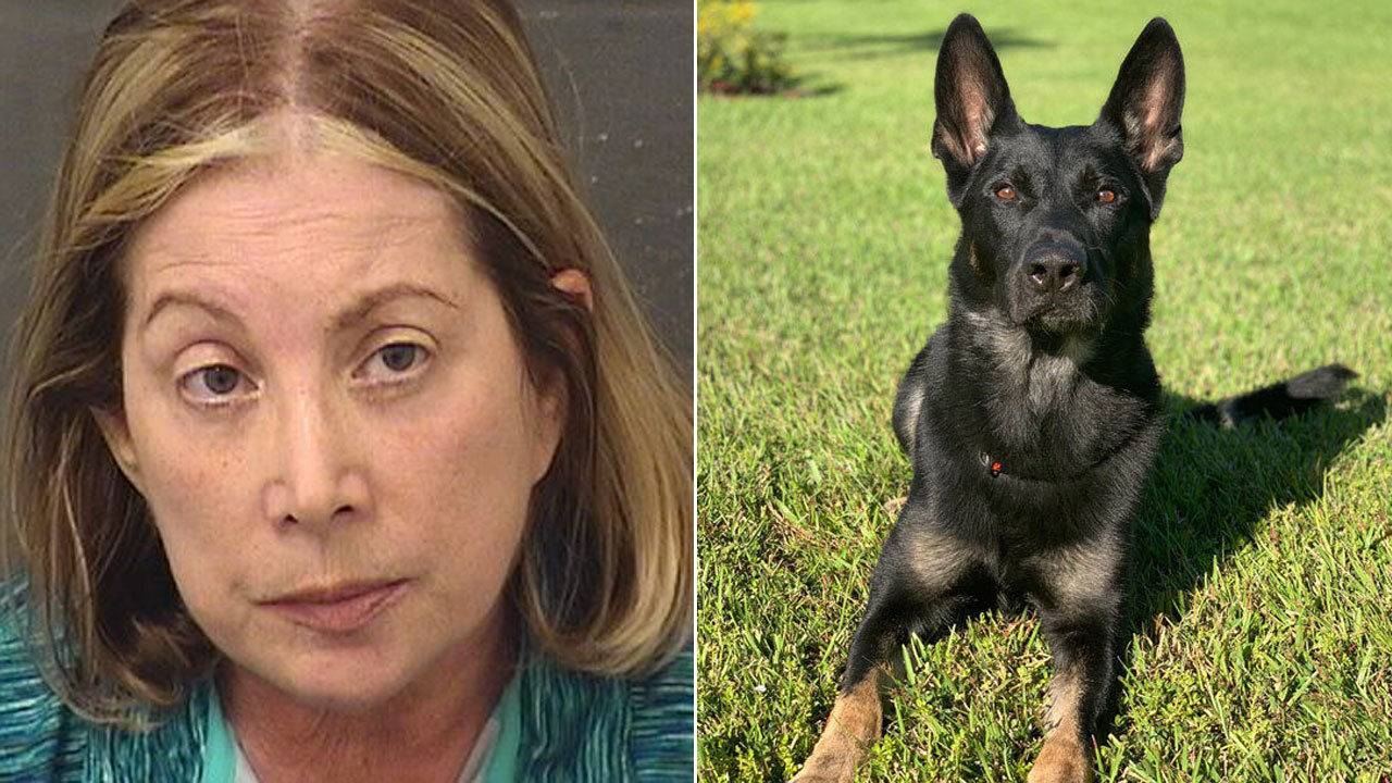 Arrestan a mujer por amenaza de tiroteo en funeral de perro policía en Florida