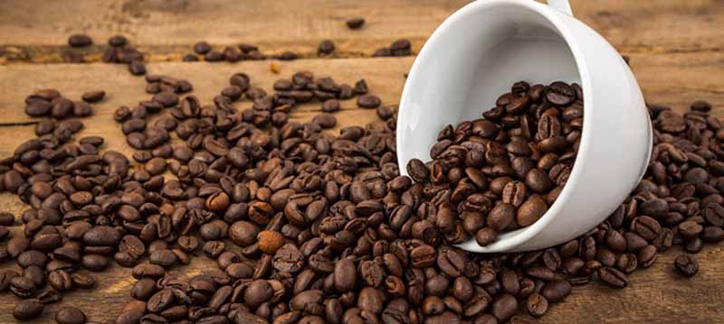 60 % de las especies de café están en peligro de extinción