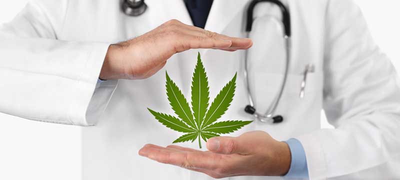 Legisladores de Florida impulsan reformas a la marihuana medicinal y recreativa