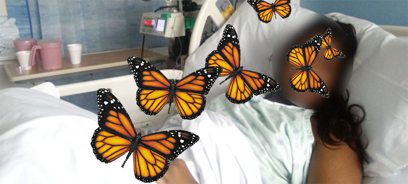 Adolescente comió mariposas para sentir que estaba enamorada