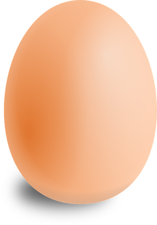 Una simple fotografía de un huevo deja en segundo lugar a Kylie Jenner en Instagram