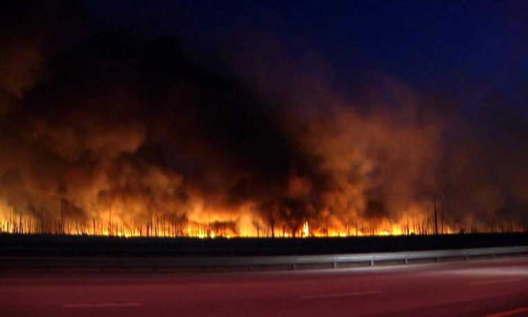 Reportan incendios forestales en Miami-Dade