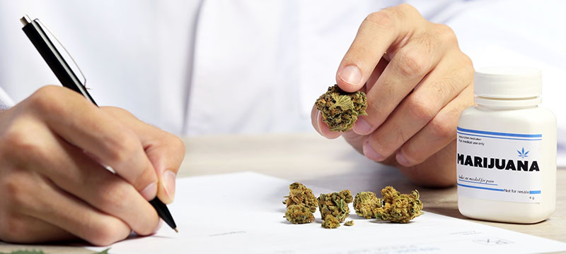 Gobernador DeSantis pidió cambios a la ley sobre marihuana medicinal